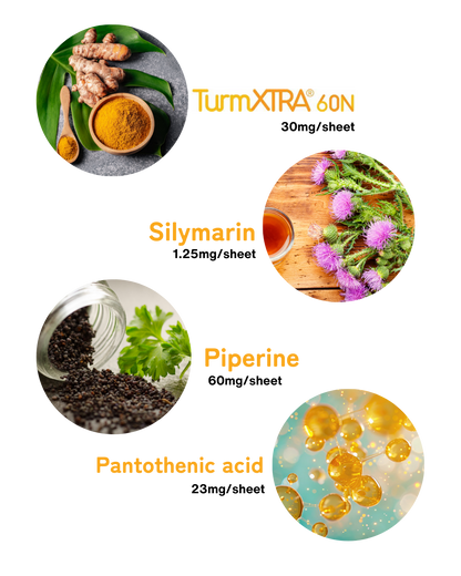 Yoishut Pack of 7 Bundle Deal